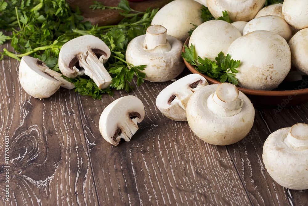 Frische Pilze: Beliebtheit steigt, Kundenzufriedenheit im Handel im Fokus