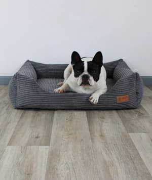 Familiengeführte Qualität: Mit unserem AirleXX werden Kuschelträume wahr!