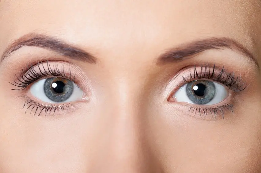 Zola Augenbrauenfarbe: LashLink bietet das Beste für Ihre Augenbrauen
