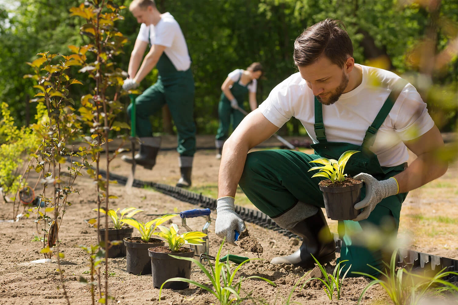 Landschaftsgärtner in der Nähe gesucht? Meister-job hilft dir weiter!