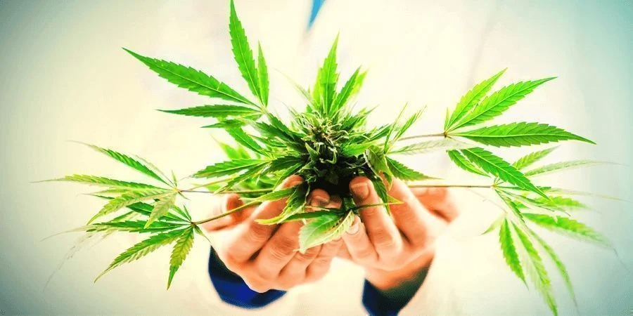 Wo gibt es das bestes CBD Öl Deutschland?