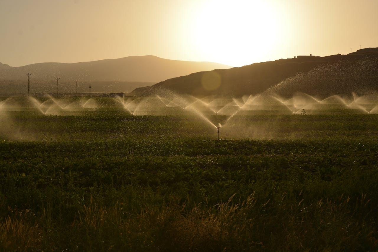 5 effiziente Wassermanagement-Strategien zur Steigerung der landwirtschaftlichen Produktivität